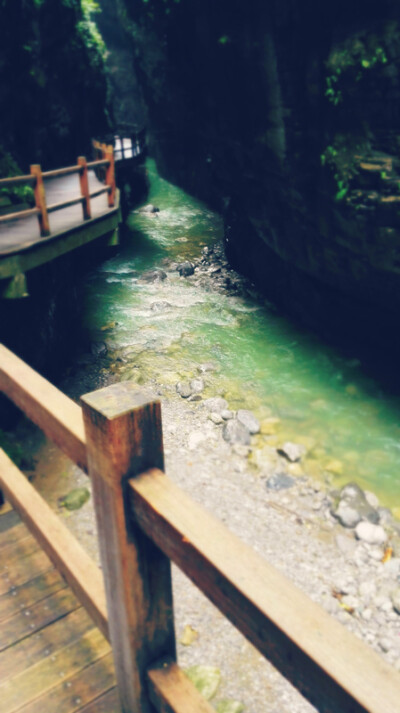 走在桥上 旅游 泉水 黑山谷 重庆 美景