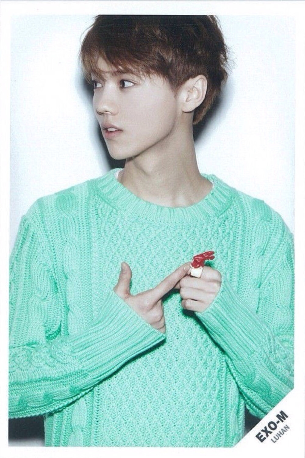 能活多久就会爱你多久