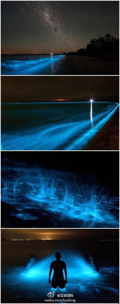 【“潘多拉星球”之湖：吉普斯兰湖】吉普斯兰湖位于澳大利亚维多利亚州，其湖水如同被倾倒进荧光染料一样，夜晚会发出幽蓝色的光芒，将石子投入湖中，也会激起蓝色的荧光，人在湖中浸水或游泳后，身上也会染上一层蓝…