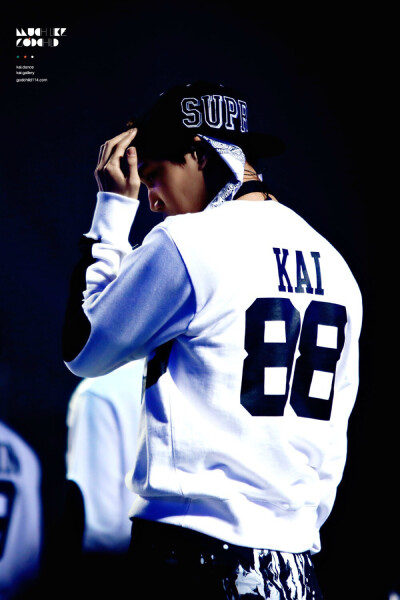 EXO Kai 金钟仁