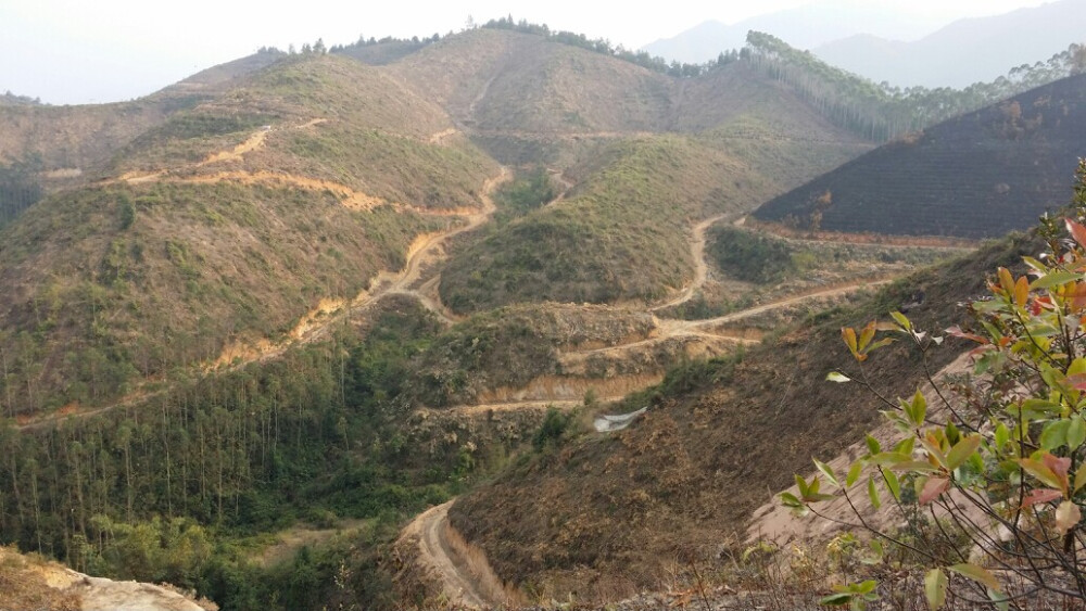 山上的风景