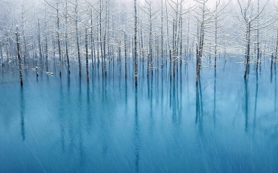 曰本北海道，美瑛青池。