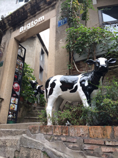 鼓浪屿，小街，古老建筑，以猫命名的小店许多，外甥女怕猫，是怕到眼泪都会流出来的那种。一路上走马看花，于是也没感觉出多少文艺范。印象深刻的是这俩对老人家，开电频车的老爷爷呆呆的看我，只因我咔嚓咔嚓几下，…