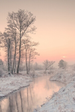 雪森