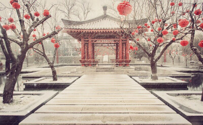 踏雪赏景