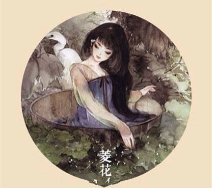 花美人~古风~手绘