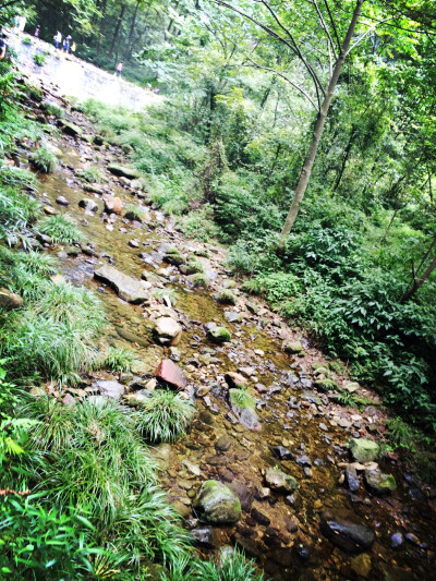 小溪流水