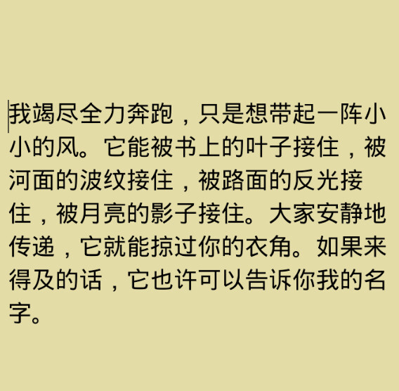 我竭尽全力奔跑，只是想带起一阵小小的风。它能被书上的叶子接住，被河面的波纹接住，被路面的反光接住，被月亮的影子接住。大家安静地传递，它就能掠过你的衣角。如果来得及的话，它也许可以告诉你我的名字。