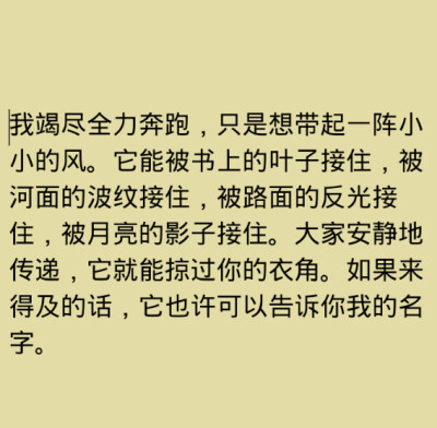 我竭盡全力奔跑，只是想帶起一陣小小的風(fēng)。它能被書上的葉子接住，被河面的波紋接住，被路面的反光接住，被月亮的影子接住。大家安靜地傳遞，它就能掠過你的衣角。如果來得及的話，它也許可以告訴你我的名字。