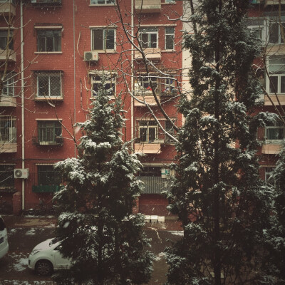 白雪却嫌春色晚 故穿庭树作飞花