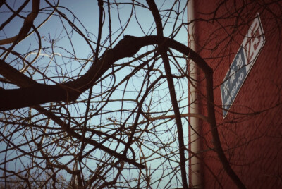 与你暮鼓晨钟 安之若素