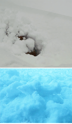 霍比特人 魔戒 小叶子 呆萌对比图 从雪里钻出来的小精灵