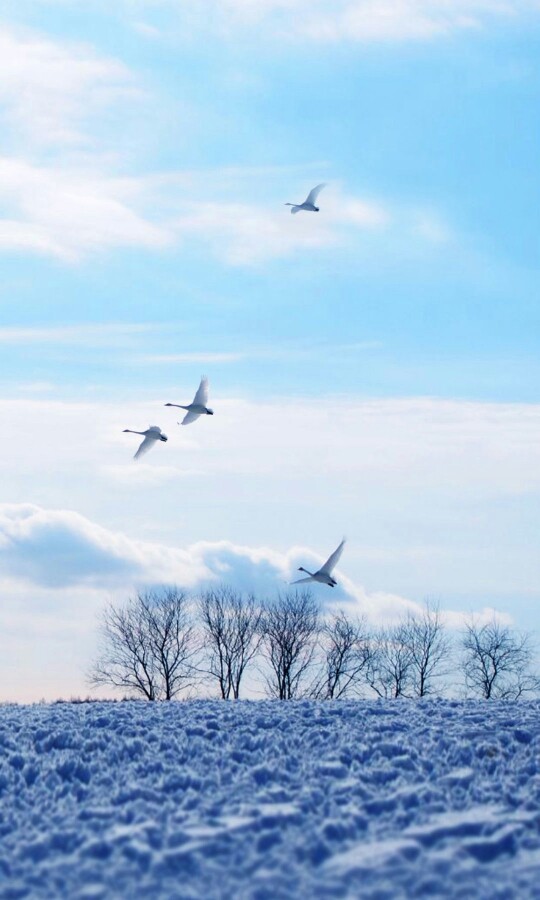 日本，北海道