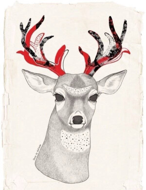 Deer