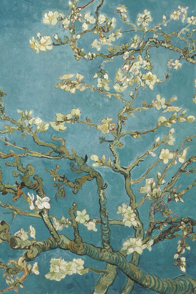 Branches With Almond Blossom 梵高作品：《杏花盛开》，创作于1890年