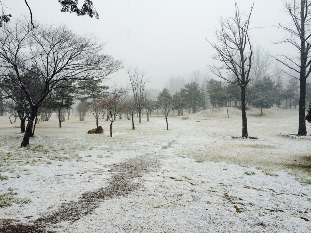 少林寺下雪了～❄️⛄️