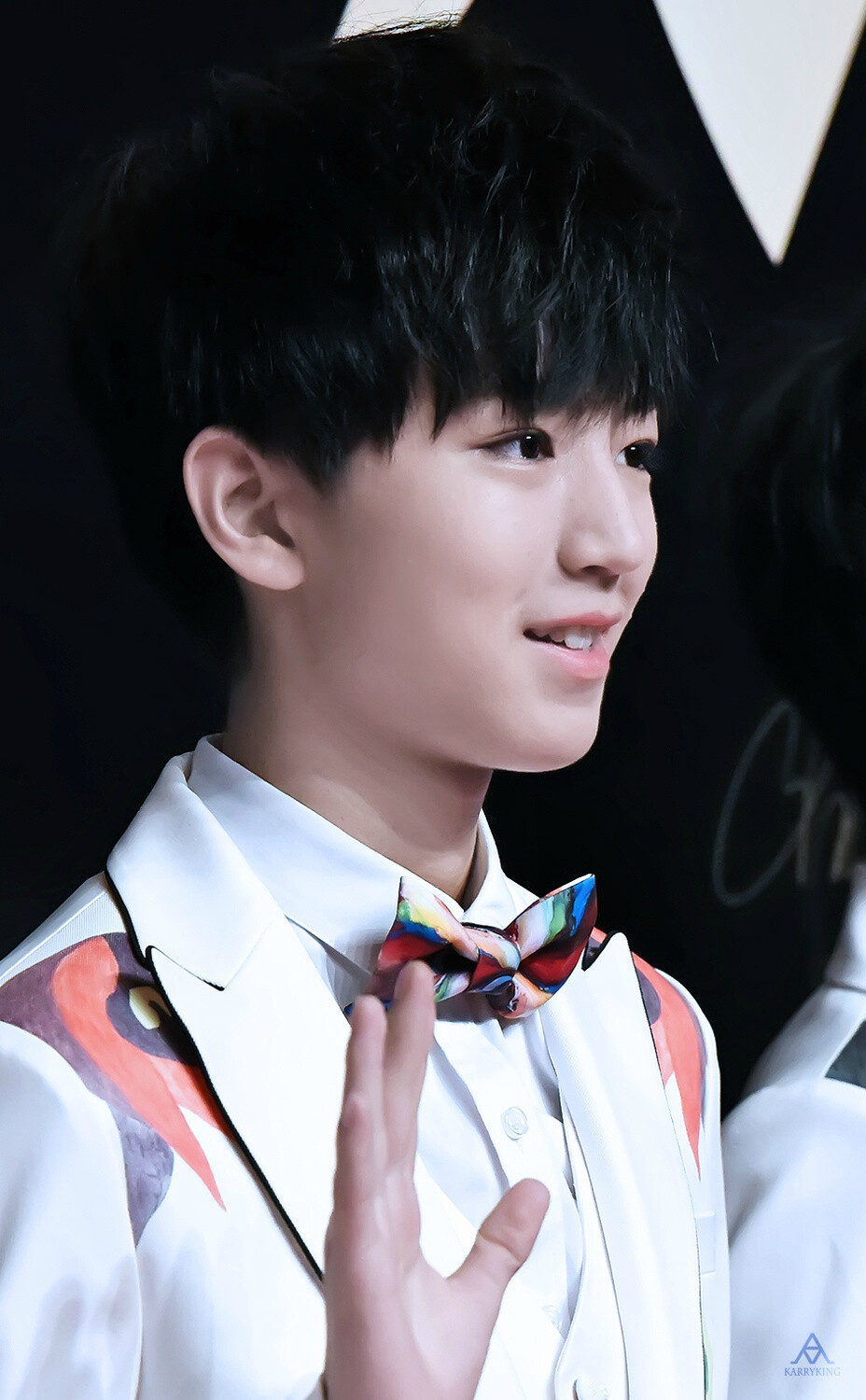 TFBOYS王俊凯 2015.1.15微博之夜 cr logo