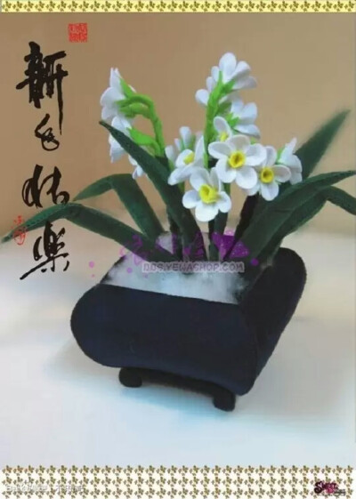 水仙花盆栽 成品