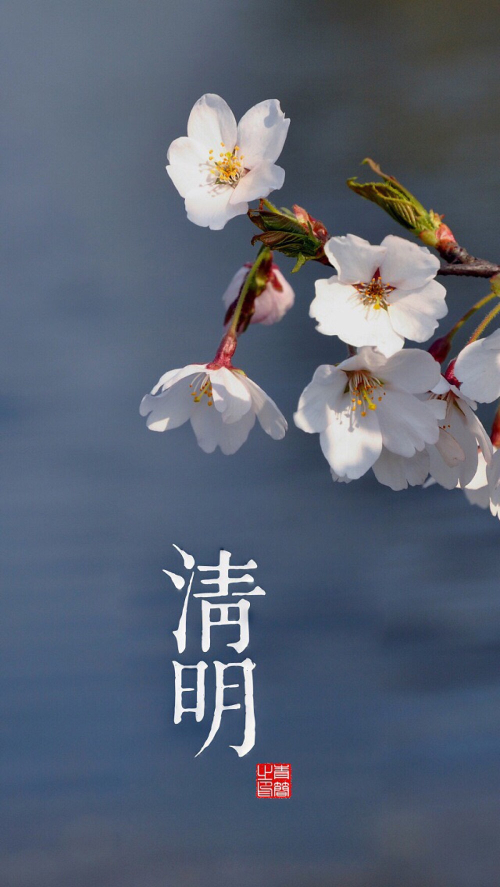 清明,高清壁纸,iphone6plus壁纸,节气 - 堆糖,美图壁纸兴趣社区