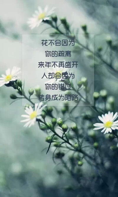 还可以一起走过黑夜走过长街。