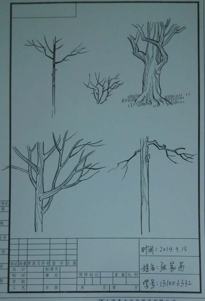 景观建筑绘画(大二上)