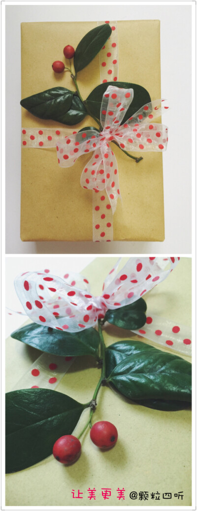#让美更美##礼物包装 DIY#从丽水带回的不知名枝蔓，有两颗可爱的红果子，搭配白底红点丝带的蝴蝶结后，让礼物也变得生意盎然起来！