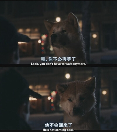 忠犬八公的故事