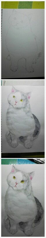 猫儿｜年初四下午呆家里，心痒痒想画画，猫姐终于画了张“自画像”了，好有成就感呐～hiahiahia～