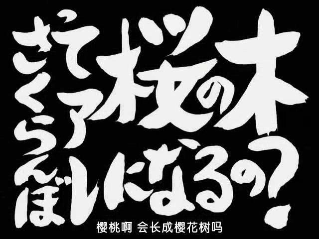 第47话 「さくらんぼってアレ桜の木になるの？」 「樱花会长成樱花树么？」