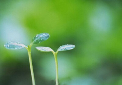 （正月初五）6时03分，将迎来马年第一个节气——“立春”。按传统，这一天的“任务”很多：扫房子、贴福字、吃春饼……