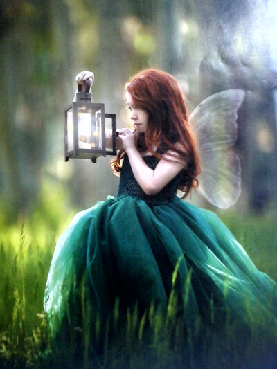 迷失在森林的精灵，心中的一盏灯。
