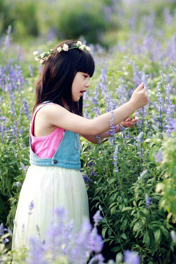 薰衣草，衬托出娃娃的可爱
