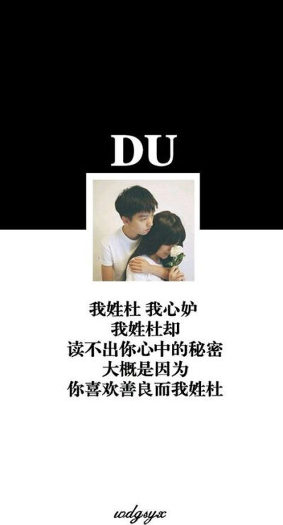 我姓杜。
