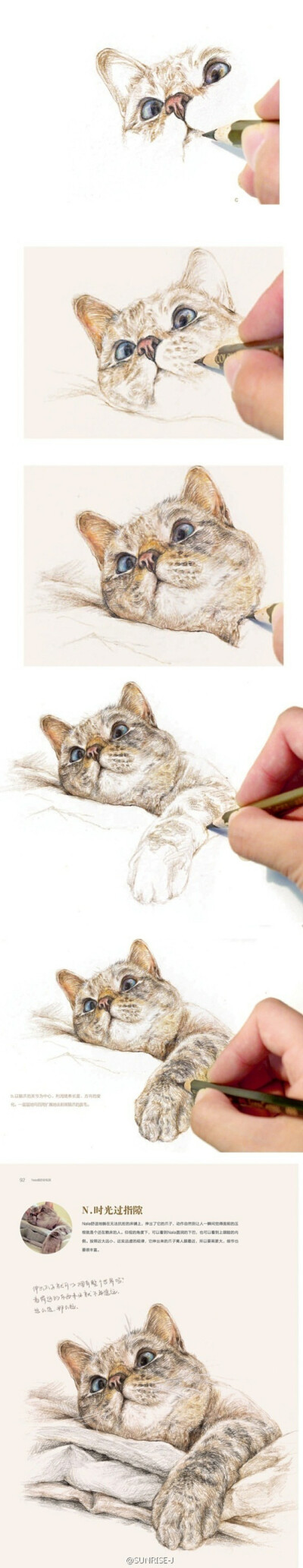 画要一点一点的完成