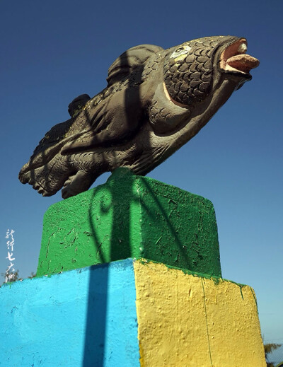 腔棘鱼是科摩多的国宝