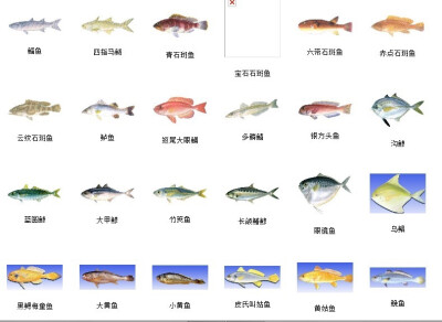 海魚種類