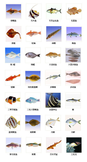海魚種類