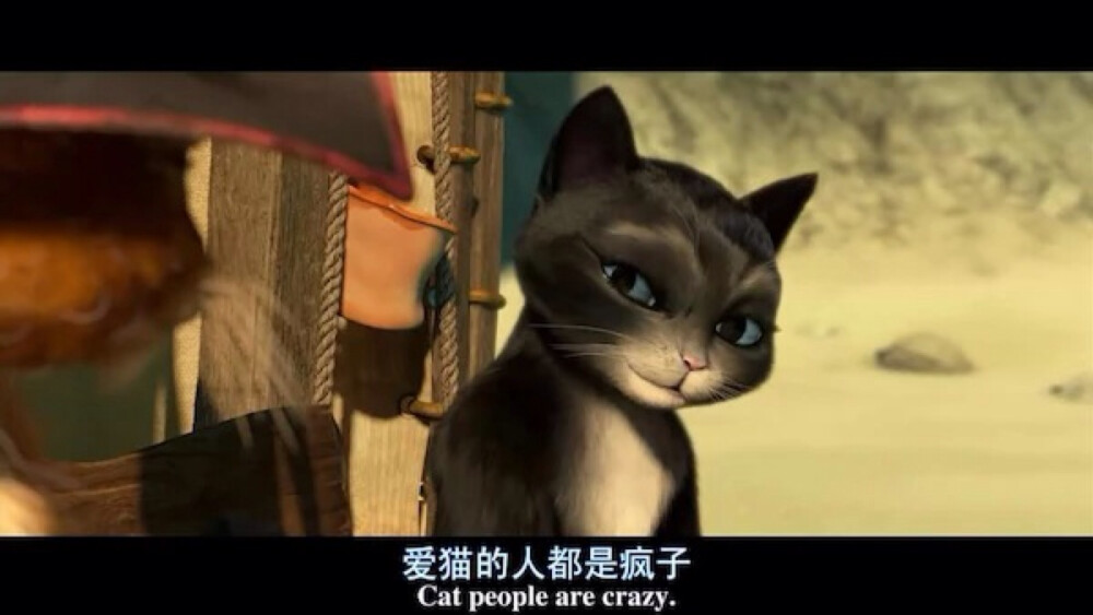 “爱猫的人都是疯子.”----《穿靴子的猫》