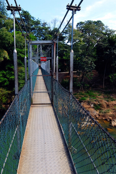 Peradeniya | 植物园里的吊桥