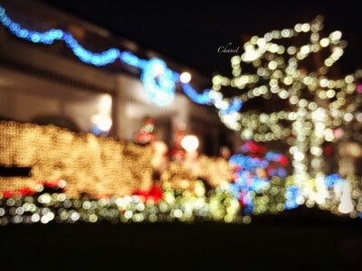 圣诞节·纽约夜景❷