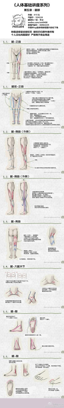 手绘教程、漫画人物线稿