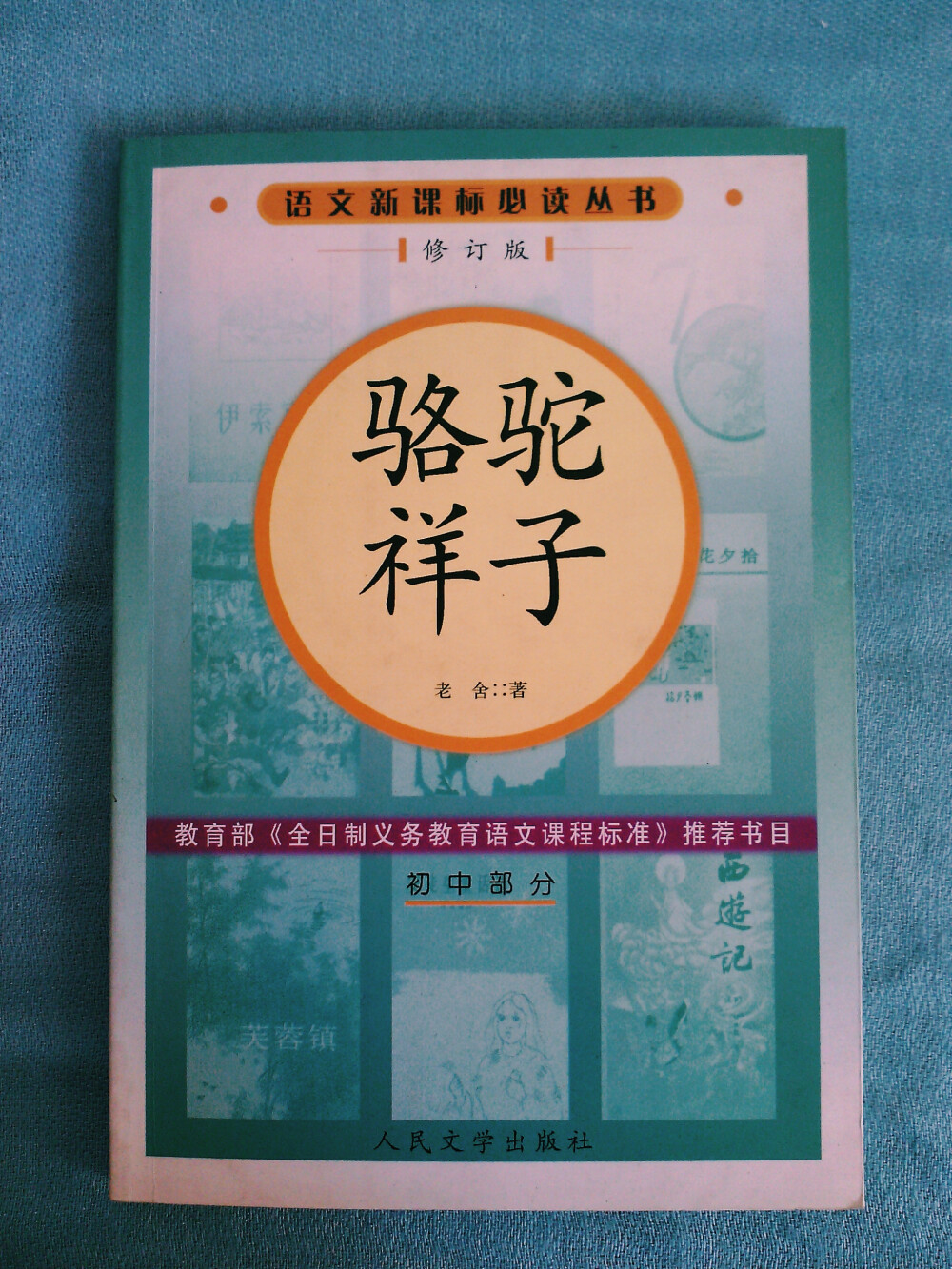 《骆驼祥子》 老舍 著。中学时代入的一部名著，现在，看纸质版名著的兴趣，还不如看改编的影视作品，唉。。。