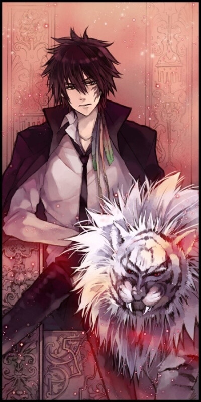 家庭教师，塔罗牌，动漫，妖孽，二次元