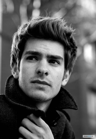 安德鲁·加菲尔德（Andrew Garfield）