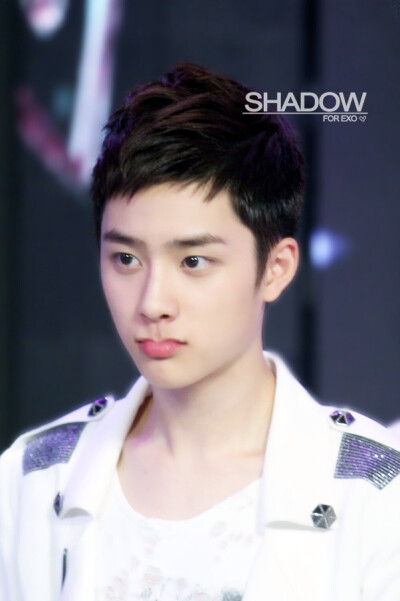 EXO D.O.