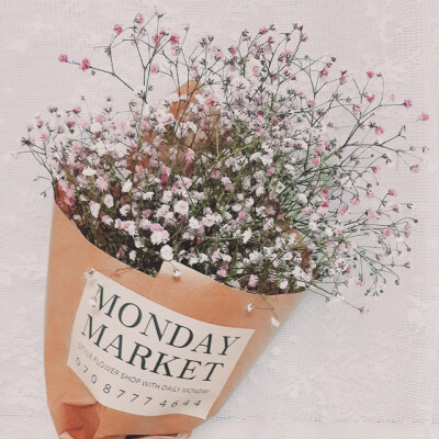 最喜歡簡簡單單又漂亮極了的滿天星☆*罒▽罒*