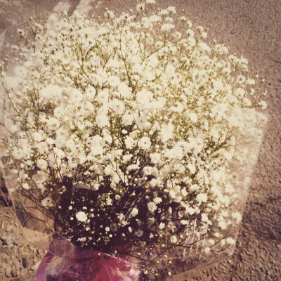 最喜歡簡簡單單又漂亮極了的滿天星☆*罒▽罒*