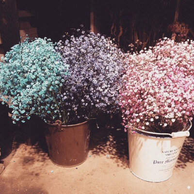 最喜歡簡簡單單又漂亮極了的滿天星☆*罒▽罒*