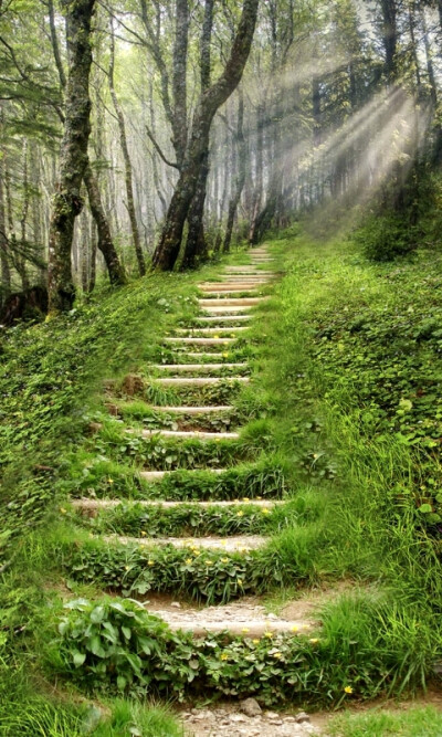 生活就像一座座山峰，翻越山峰并不累，累的是翻越一座座山峰后看不到目的地。