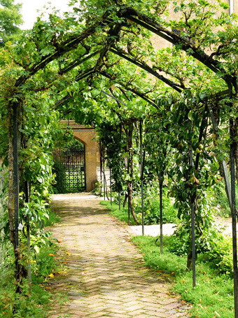 Sudeley Castle Gardens, Gloucestershire, England。英格兰格洛斯特郡休得利城堡花园，据史料记载有1000多年的历史，曾经是亨利八世的产业，休得利城堡中的花园，代表了英国造园技艺的最高水平。